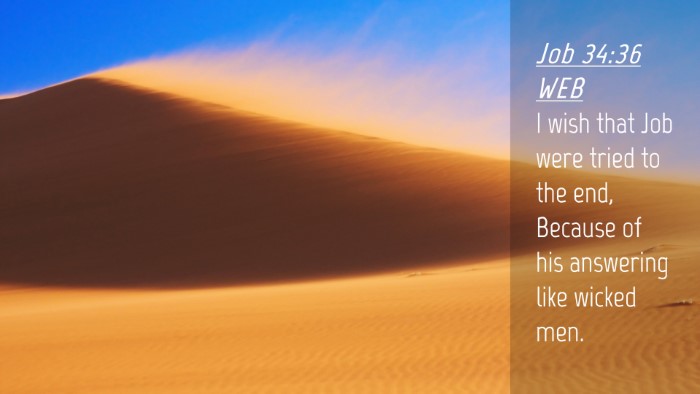 Picture 04 - Job 34:36 WEB Desktop Wallpaper - I wish that Job were tried to the end, Because of - Desktop Bible Verse Wallpaper