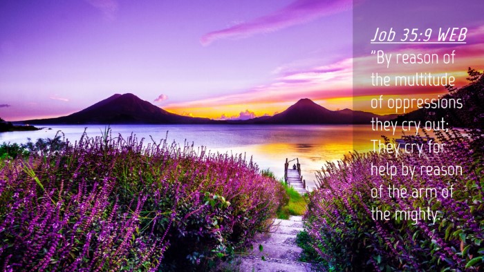 Picture 04 - Job 35:9 WEB Desktop Wallpaper - 