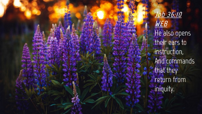 Picture 04 - Job 36:10 WEB Desktop Wallpaper - He also opens their ears to instruction, And - Desktop Bible Verse Wallpaper