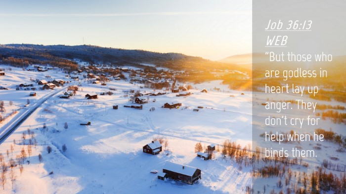 Picture 04 - Job 36:13 WEB Desktop Wallpaper - 