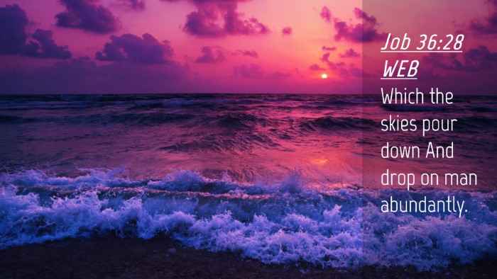 Picture 04 - Job 36:28 WEB Desktop Wallpaper - Which the skies pour down And drop on man - Desktop Bible Verse Wallpaper