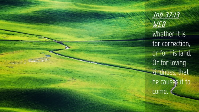Picture 04 - Job 37:13 WEB Desktop Wallpaper - Whether it is for correction, or for his land, Or - Desktop Bible Verse Wallpaper