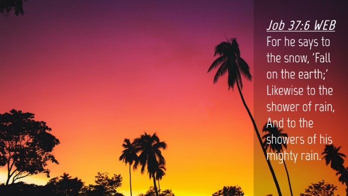 Picture 04 - Job 37:6 WEB Desktop Wallpaper - For he says to the snow, 'Fall on the earth;' - Desktop Bible Verse Wallpaper