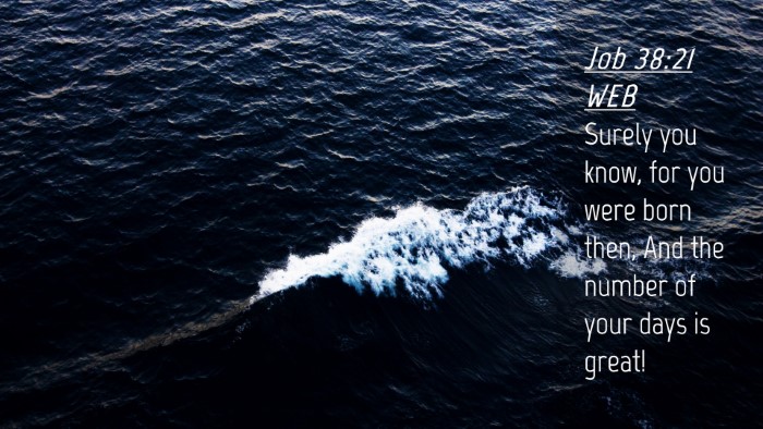 Picture 04 - Job 38:21 WEB Desktop Wallpaper - Surely you know, for you were born then, And the - Desktop Bible Verse Wallpaper