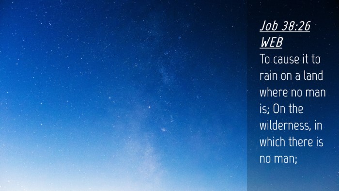 Picture 04 - Job 38:26 WEB Desktop Wallpaper - To cause it to rain on a land where no man is; On - Desktop Bible Verse Wallpaper
