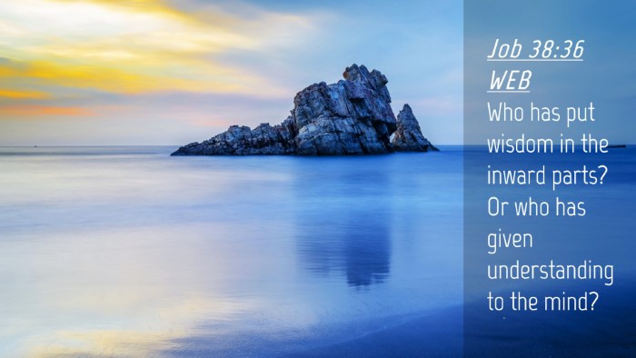 Picture 04 - Job 38:36 WEB Desktop Wallpaper - Who has put wisdom in the inward parts? Or who - Desktop Bible Verse Wallpaper