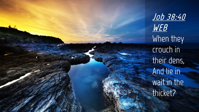 Picture 04 - Job 38:40 WEB Desktop Wallpaper - When they crouch in their dens, And lie in wait - Desktop Bible Verse Wallpaper