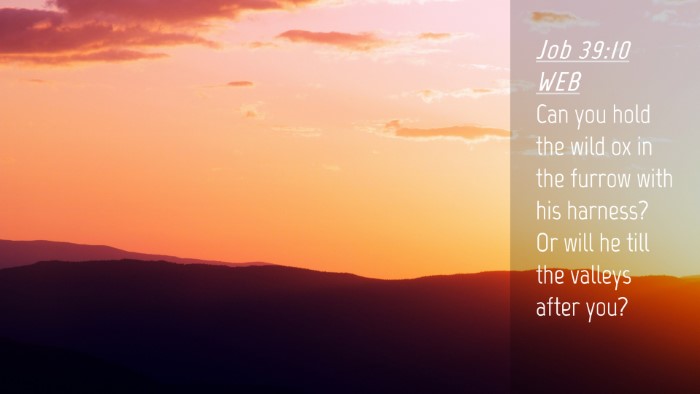Picture 04 - Job 39:10 WEB Desktop Wallpaper - Can you hold the wild ox in the furrow with his - Desktop Bible Verse Wallpaper
