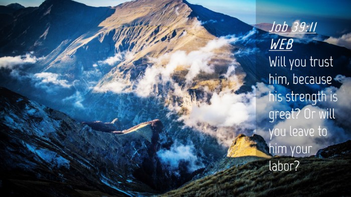 Picture 04 - Job 39:11 WEB Desktop Wallpaper - Will you trust him, because his strength is - Desktop Bible Verse Wallpaper