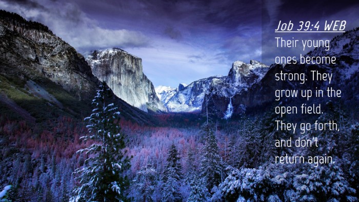 Picture 04 - Job 39:4 WEB Desktop Wallpaper - Their young ones become strong. They grow up in - Desktop Bible Verse Wallpaper