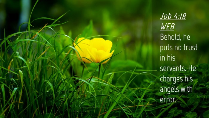 Picture 04 - Job 4:18 WEB Desktop Wallpaper - Behold, he puts no trust in his servants. He - Desktop Bible Verse Wallpaper