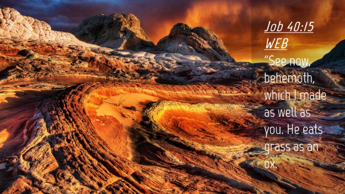 Picture 04 - Job 40:15 WEB Desktop Wallpaper - 