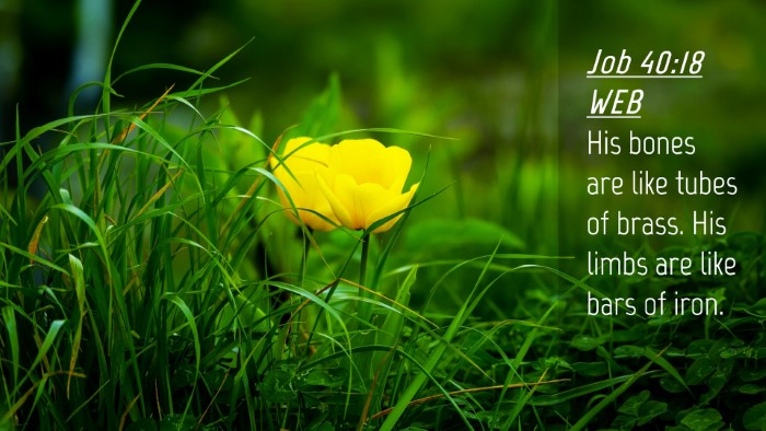 Picture 04 - Job 40:18 WEB Desktop Wallpaper - His bones are like tubes of brass. His limbs are - Desktop Bible Verse Wallpaper