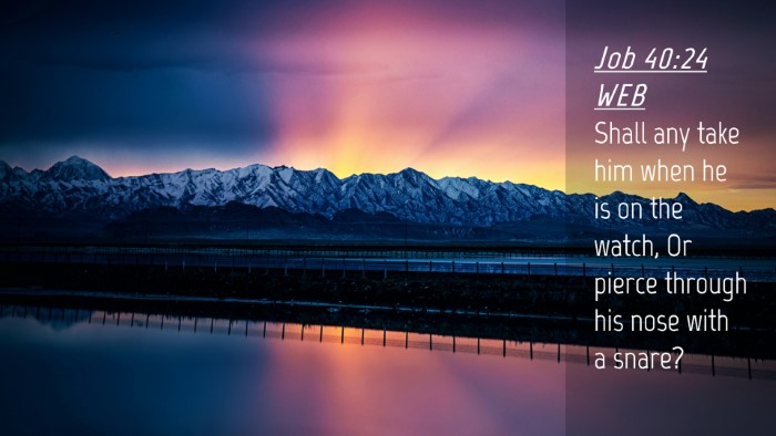 Picture 04 - Job 40:24 WEB Desktop Wallpaper - Shall any take him when he is on the watch, Or - Desktop Bible Verse Wallpaper