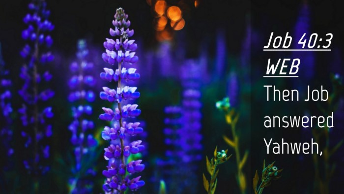 Picture 04 - Job 40:3 WEB Desktop Wallpaper - Then Job answered - Desktop Bible Verse Wallpaper