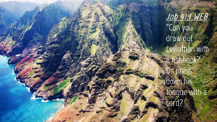 Picture 04 - Job 41:1 WEB Desktop Wallpaper - 