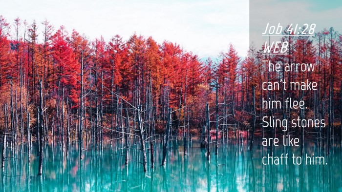 Picture 04 - Job 41:28 WEB Desktop Wallpaper - The arrow can't make him flee. Sling stones are - Desktop Bible Verse Wallpaper