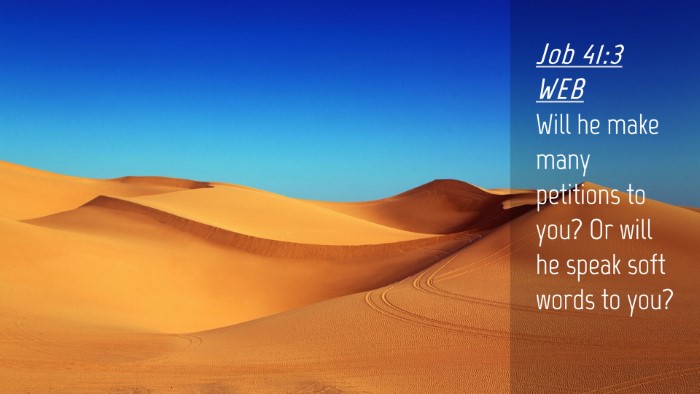 Picture 04 - Job 41:3 WEB Desktop Wallpaper - Will he make many petitions to you? Or will he - Desktop Bible Verse Wallpaper