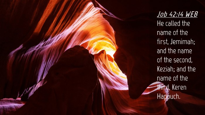 Picture 04 - Job 42:14 WEB Desktop Wallpaper - He called the name of the first, Jemimah; and the - Desktop Bible Verse Wallpaper