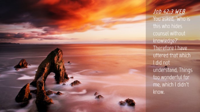 Picture 04 - Job 42:3 WEB Desktop Wallpaper - You asked, 'Who is this who hides counsel without - Desktop Bible Verse Wallpaper