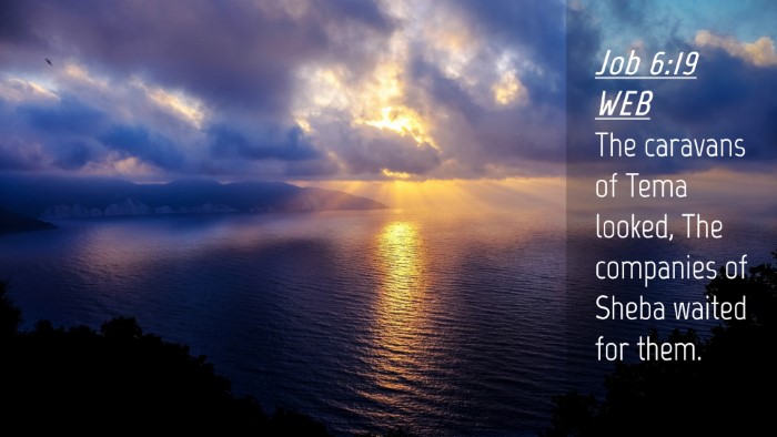 Picture 04 - Job 6:19 WEB Desktop Wallpaper - The caravans of Tema looked, The companies of - Desktop Bible Verse Wallpaper
