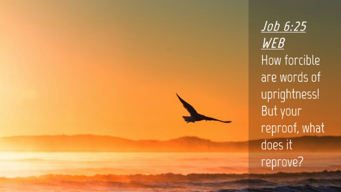 Picture 04 - Job 6:25 WEB Desktop Wallpaper - How forcible are words of uprightness! But your - Desktop Bible Verse Wallpaper