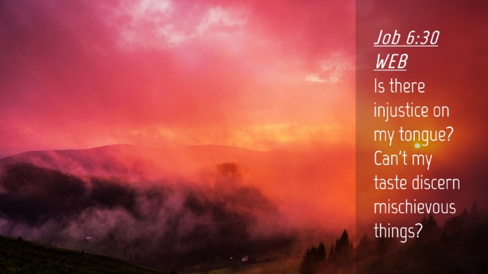 Picture 04 - Job 6:30 WEB Desktop Wallpaper - Is there injustice on my tongue? Can't my taste - Desktop Bible Verse Wallpaper