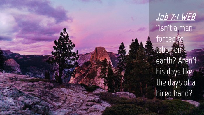 Picture 04 - Job 7:1 WEB Desktop Wallpaper - 