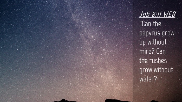Picture 04 - Job 8:11 WEB Desktop Wallpaper - 