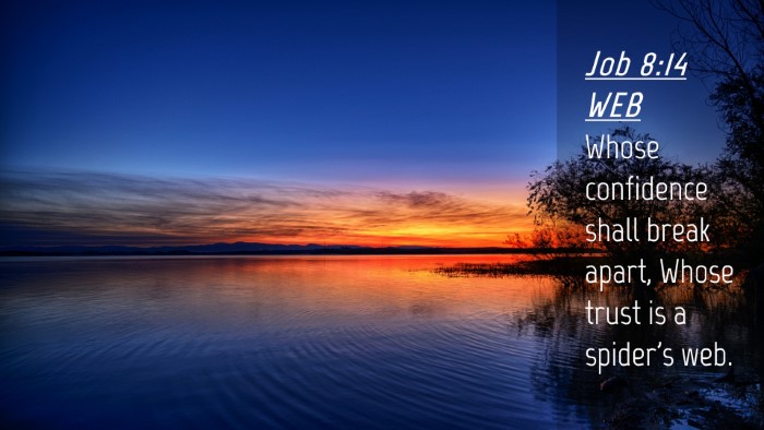 Picture 04 - Job 8:14 WEB Desktop Wallpaper - Whose confidence shall break apart, Whose trust - Desktop Bible Verse Wallpaper