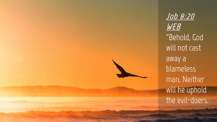Picture 04 - Job 8:20 WEB Desktop Wallpaper - 