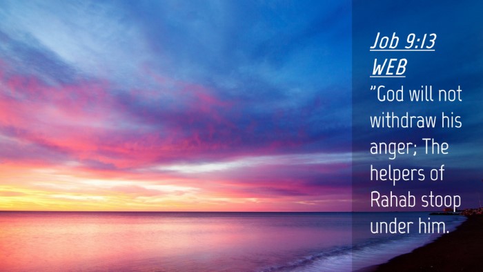 Picture 04 - Job 9:13 WEB Desktop Wallpaper - 