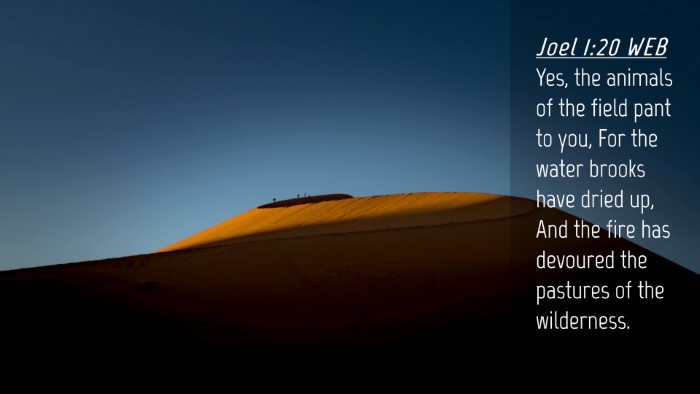 Picture 04 - Joel 1:20 WEB Desktop Wallpaper - Yes, the animals of the field pant to you, For - Desktop Bible Verse Wallpaper