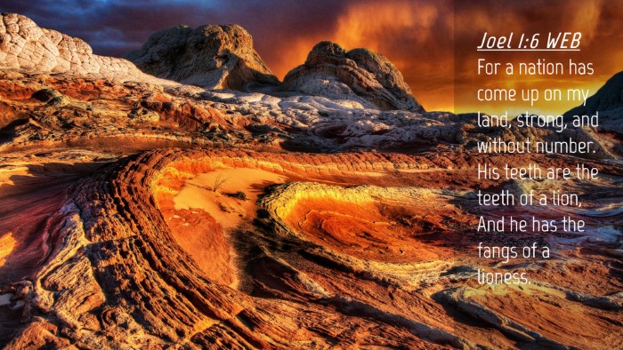 Picture 04 - Joel 1:6 WEB Desktop Wallpaper - For a nation has come up on my land, strong, and - Desktop Bible Verse Wallpaper