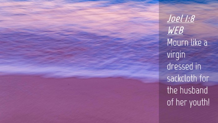 Picture 04 - Joel 1:8 WEB Desktop Wallpaper - Mourn like a virgin dressed in sackcloth for the - Desktop Bible Verse Wallpaper