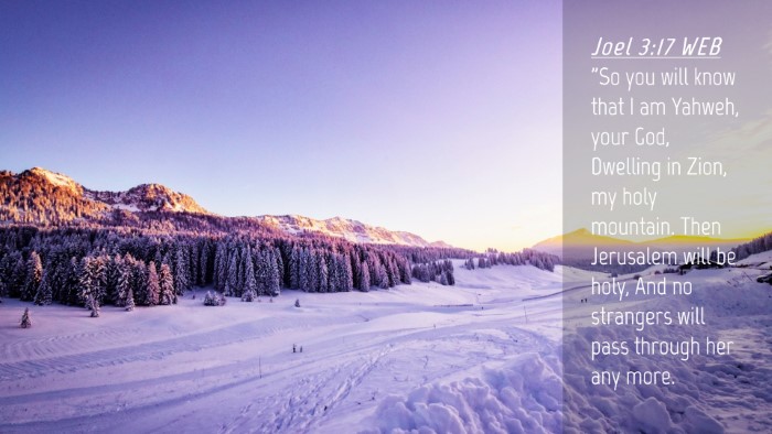 Picture 04 - Joel 3:17 WEB Desktop Wallpaper - 