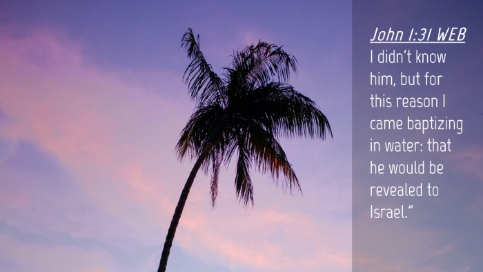 Picture 04 - John 1:31 WEB Desktop Wallpaper - I didn't know him, but for this reason I came - Desktop Bible Verse Wallpaper