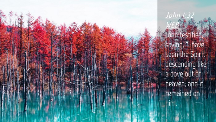 Picture 04 - John 1:32 WEB Desktop Wallpaper - John testified, saying, 