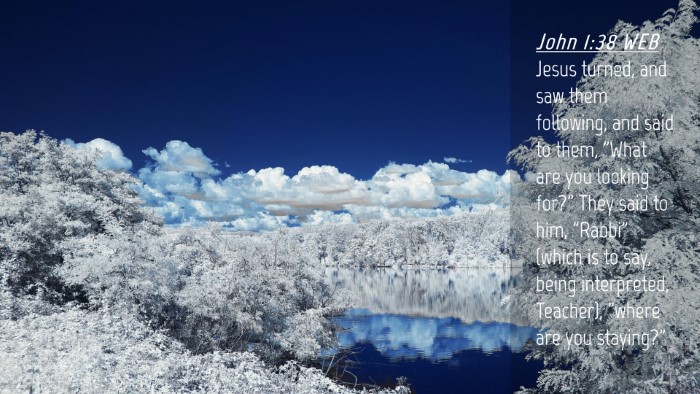 Picture 04 - John 1:38 WEB Desktop Wallpaper - Jesus turned, and saw them following, and said to - Desktop Bible Verse Wallpaper