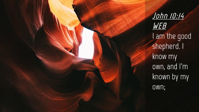 Picture 04 - John 10:14 WEB Desktop Wallpaper - I am the good shepherd. I know my own, and I'm - Desktop Bible Verse Wallpaper