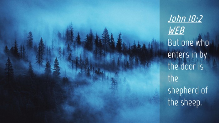 Picture 04 - John 10:2 WEB Desktop Wallpaper - But one who enters in by the door is the shepherd - Desktop Bible Verse Wallpaper