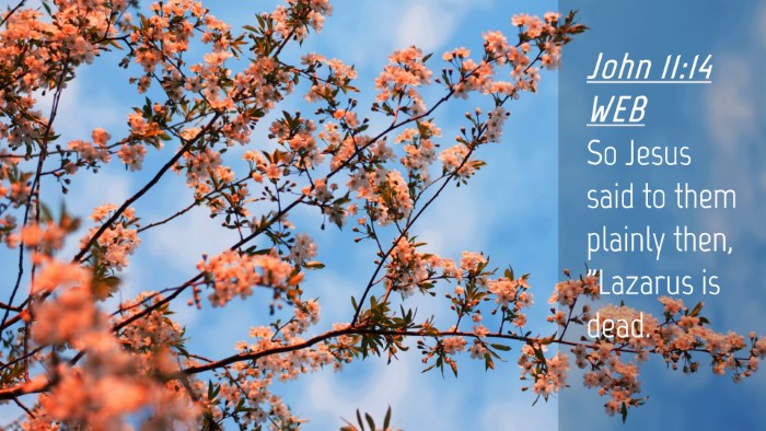 Picture 04 - John 11:14 WEB Desktop Wallpaper - So Jesus said to them plainly then, 