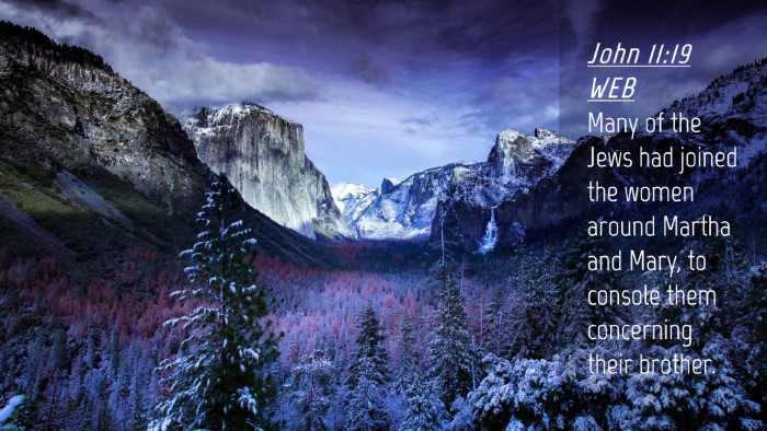 Picture 04 - John 11:19 WEB Desktop Wallpaper - Many of the Jews had joined the women around - Desktop Bible Verse Wallpaper