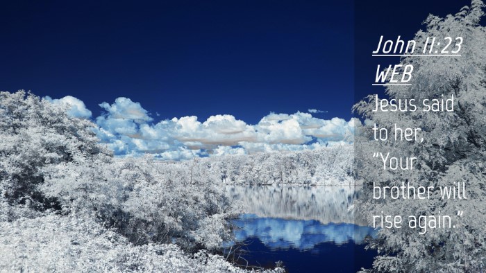 Picture 04 - John 11:23 WEB Desktop Wallpaper - Jesus said to her, 