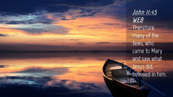 Picture 04 - John 11:45 WEB Desktop Wallpaper - Therefore many of the Jews, who came to Mary and - Desktop Bible Verse Wallpaper