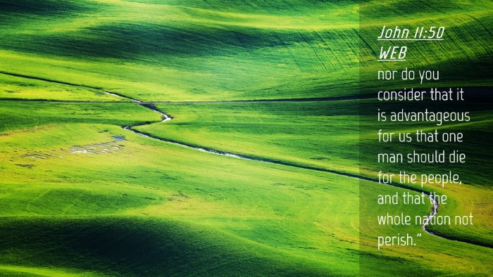 Picture 04 - John 11:50 WEB Desktop Wallpaper - nor do you consider that it is advantageous for - Desktop Bible Verse Wallpaper