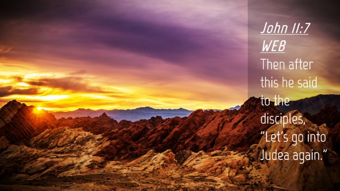 Picture 04 - John 11:7 WEB Desktop Wallpaper - Then after this he said to the disciples, 