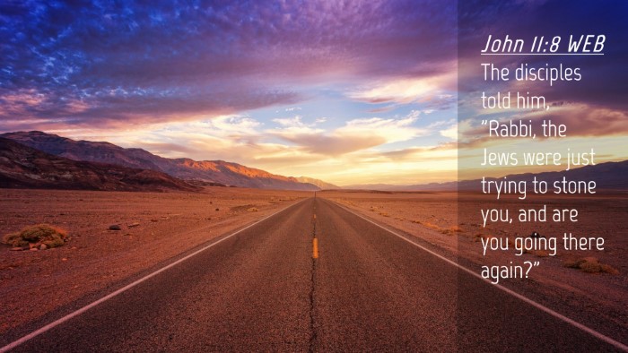Picture 04 - John 11:8 WEB Desktop Wallpaper - The disciples told him, 