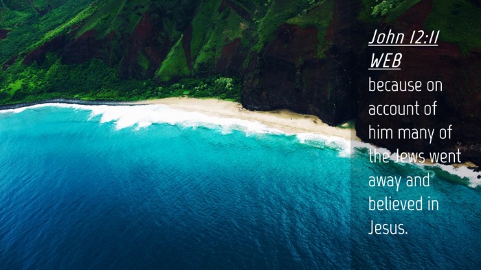 Picture 04 - John 12:11 WEB Desktop Wallpaper - because on account of him many of the Jews went - Desktop Bible Verse Wallpaper