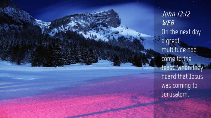 Picture 04 - John 12:12 WEB Desktop Wallpaper - On the next day a great multitude had come to the - Desktop Bible Verse Wallpaper
